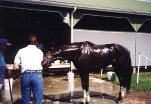 Ernest Drake - Daddy Ottawa, Canada
