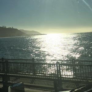 Jesse Cummings - Daddy Albany, USA