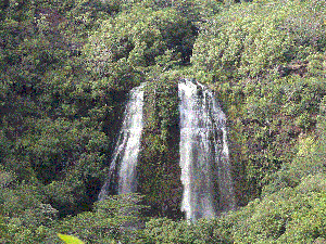 Noel Pollock - Daddy Louisiana, USA